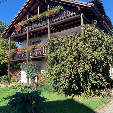 Gaestehaus Zum Rhein ไรห์นเฮาเซน ภายนอก รูปภาพ